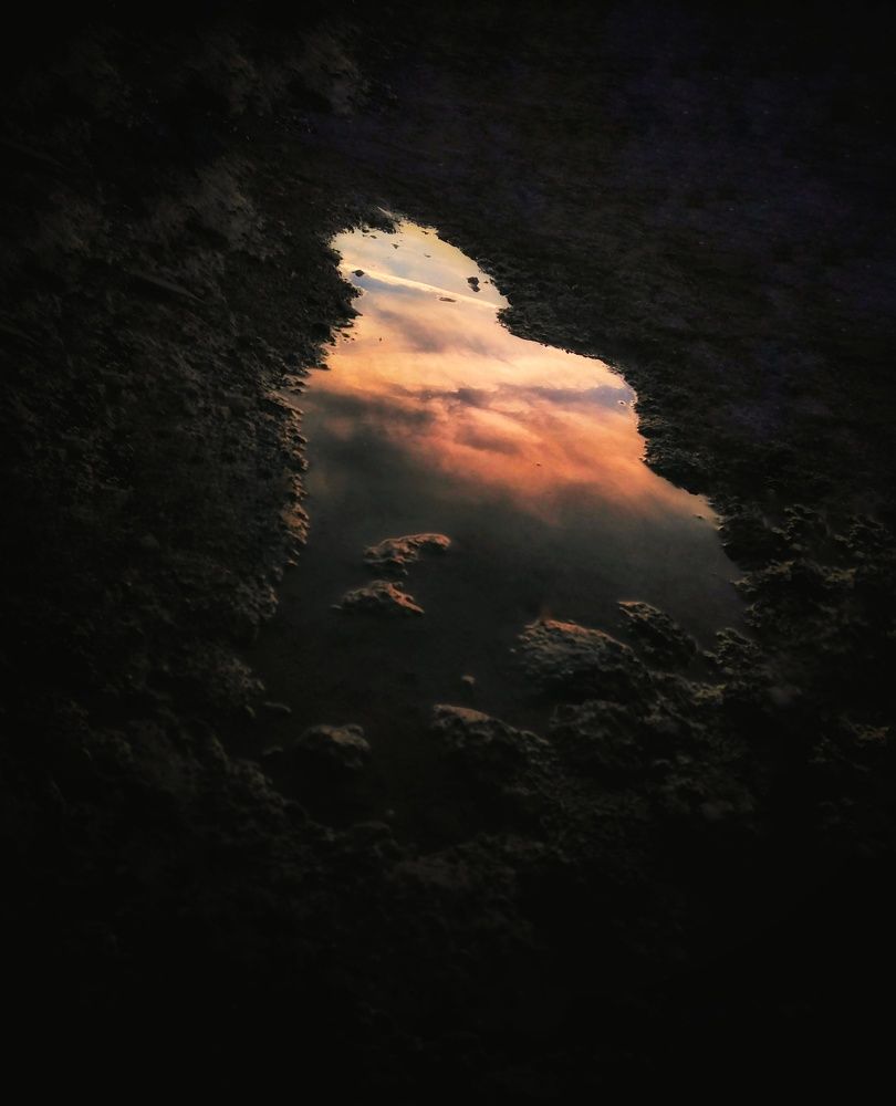 Photograph by Marziyeh Nasiri