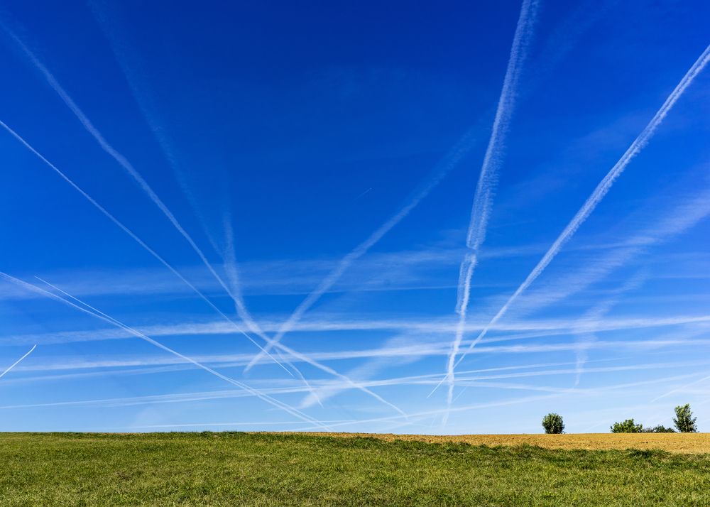 Photograph by Irina Tischer