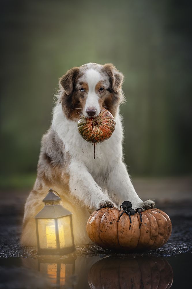 Photograph by Ирина Голомб