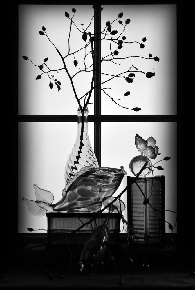 Photograph by Александр Зарх