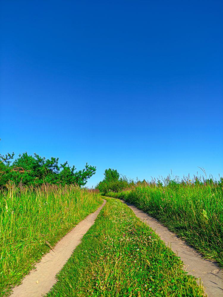 Фотография автора Александр Хухлов