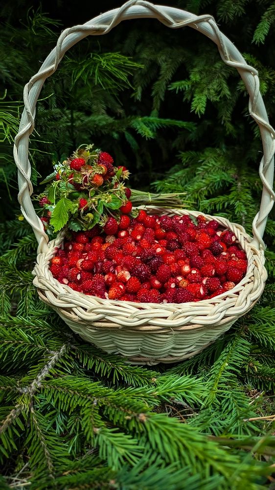 Photograph by Светлана