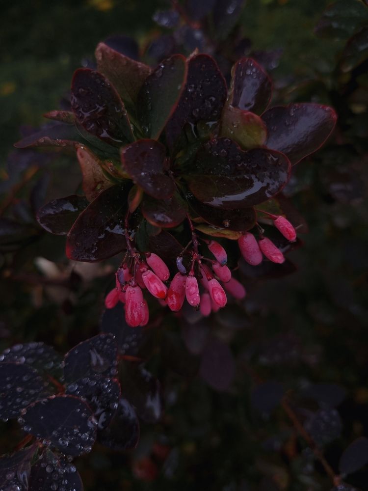 Photograph by Александра