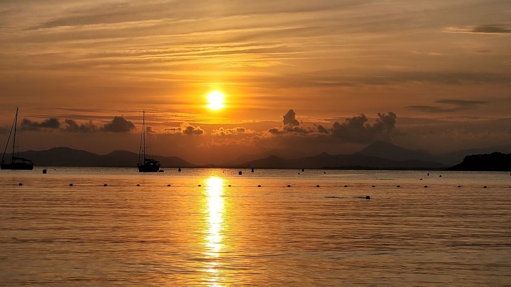 Фотография автора vanessa elbin