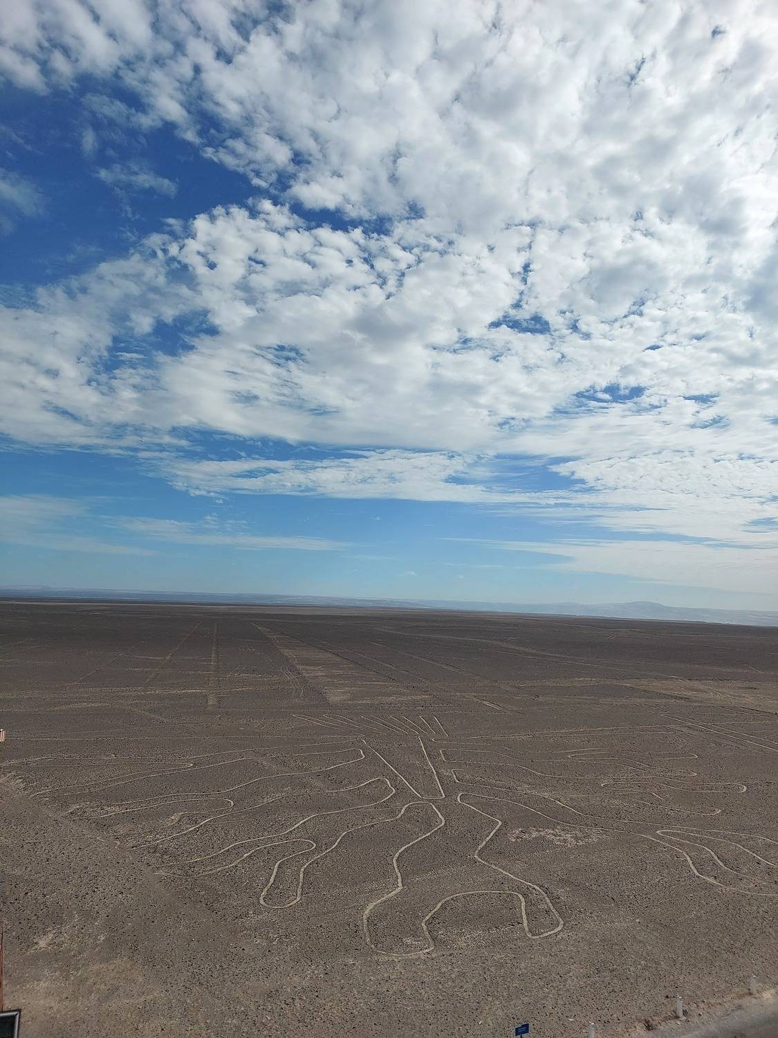 Photo #11282168