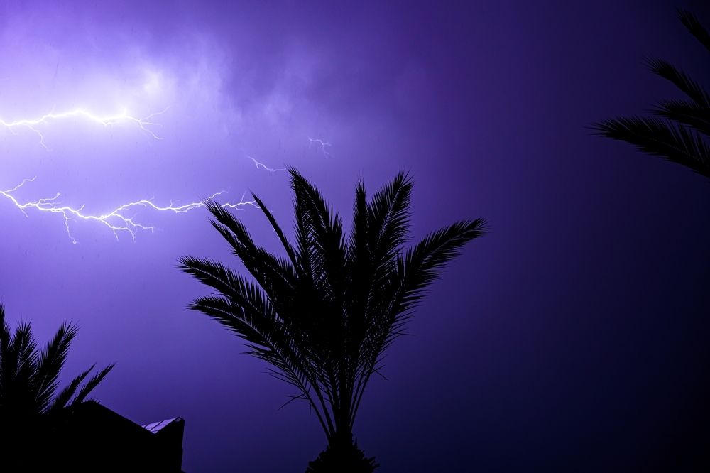 Photograph by Sharone