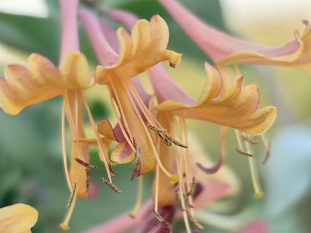 Photograph by Milica Simeunovic