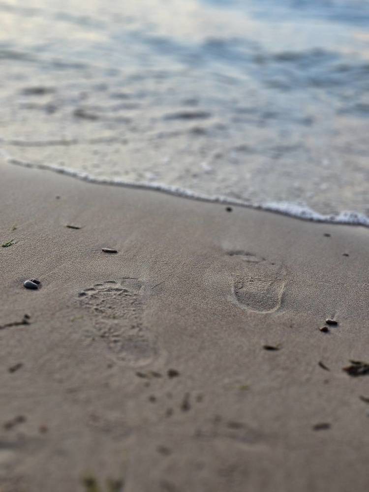 Photograph by Elena Neprosh