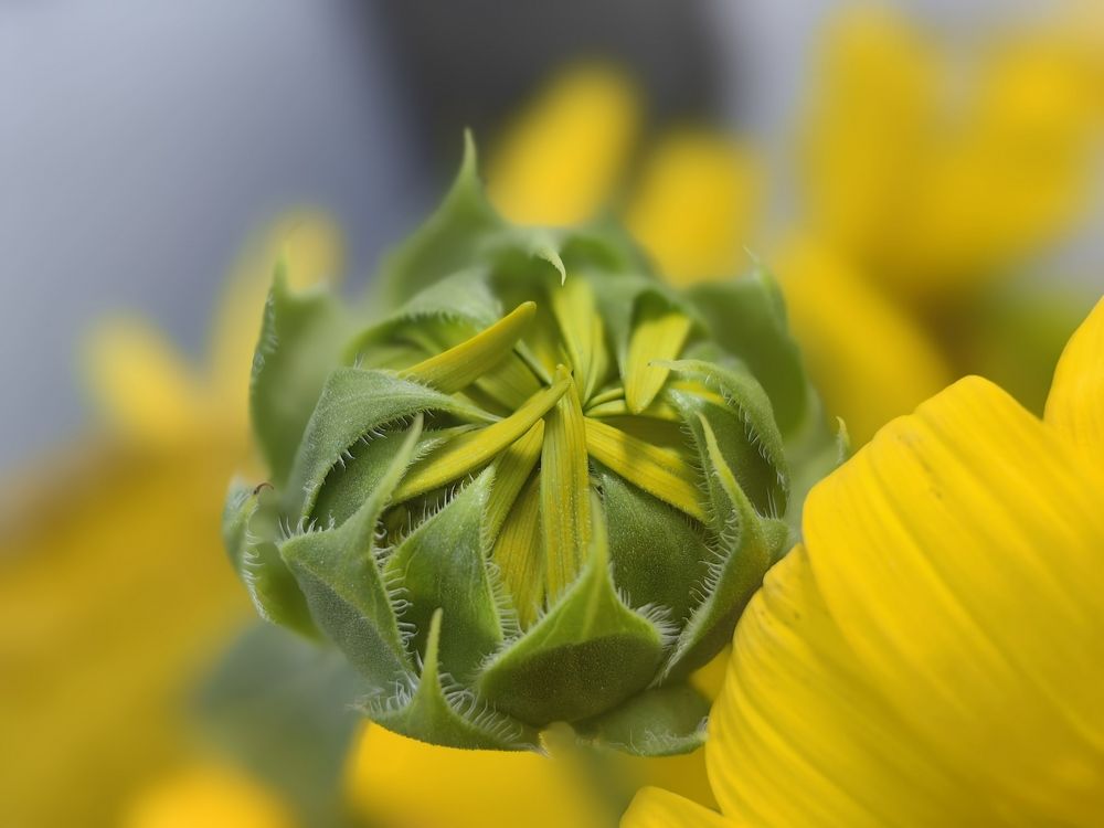 Photograph by Milica Simeunovic