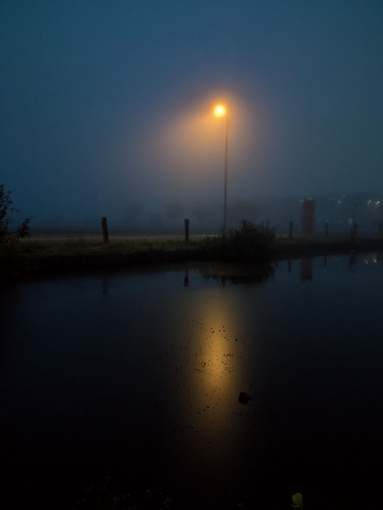 Фотография автора Ксения Шляйхер