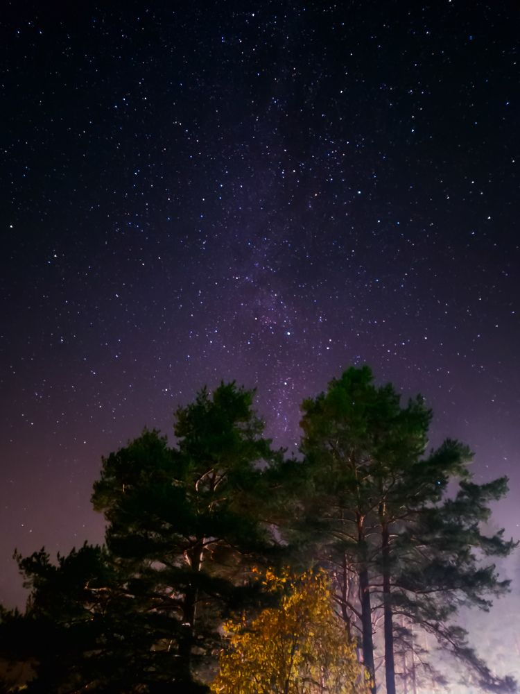 Photograph by Анастасия Алтабаева