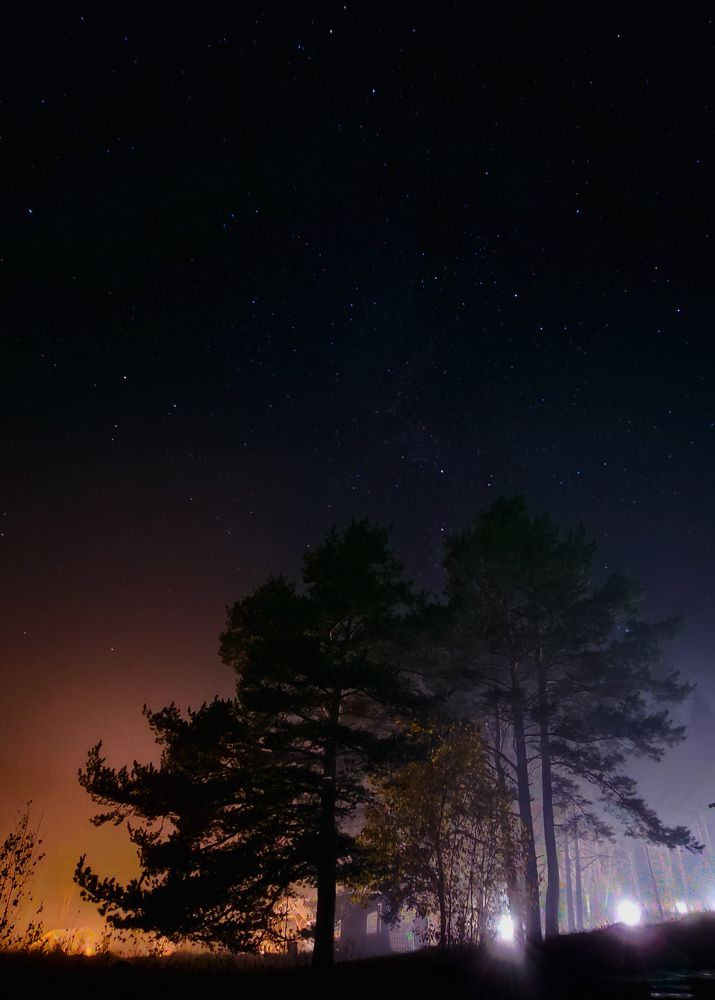 Photograph by Анастасия Алтабаева