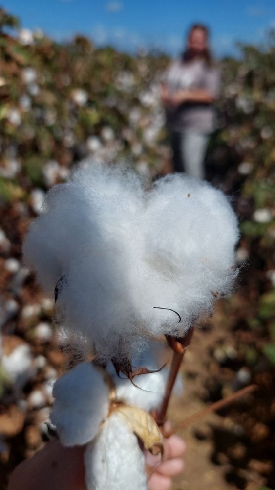 Photograph by Marharita