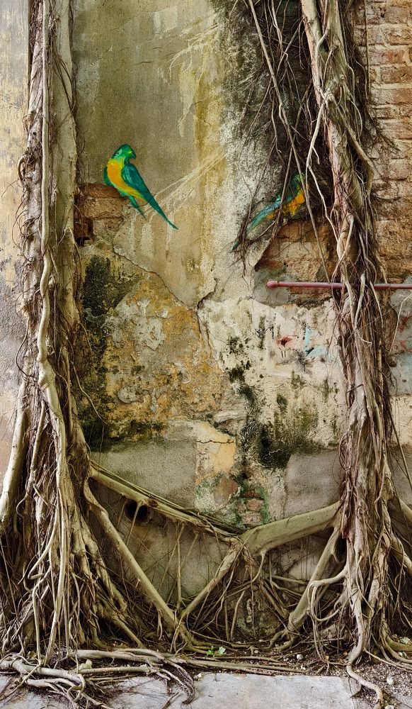 Фотография автора Светлана Зимина