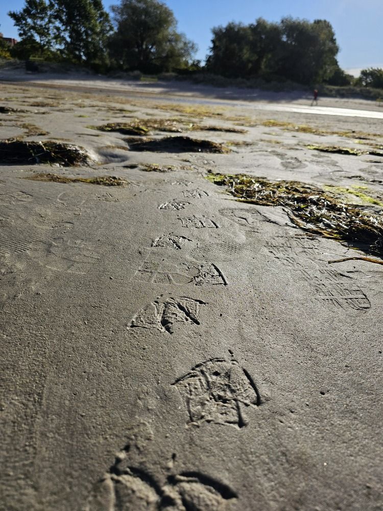 Photograph by Elena Neprosh