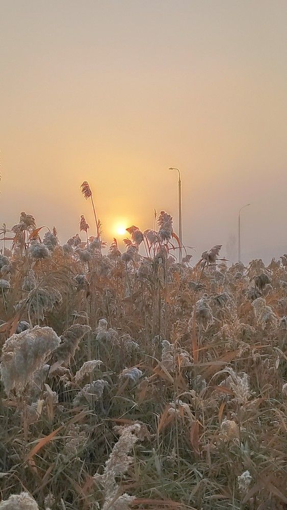 Photograph by Александр