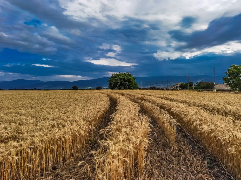 Photograph by Nikolay Draganov