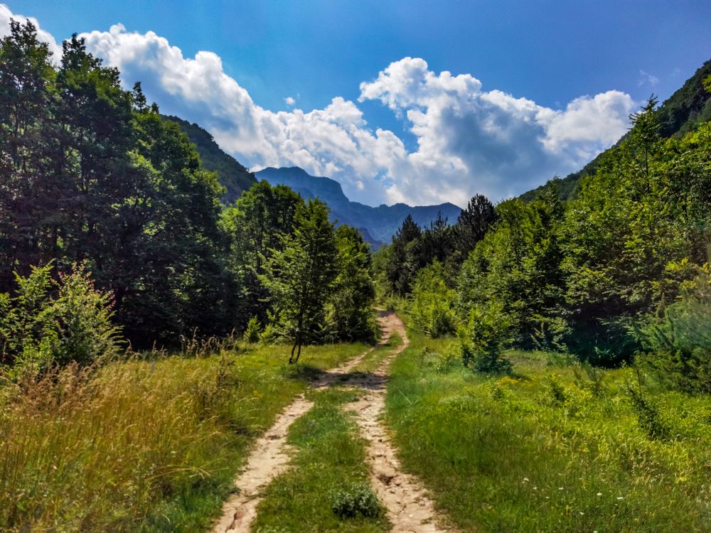 Photograph by Nikolay Draganov