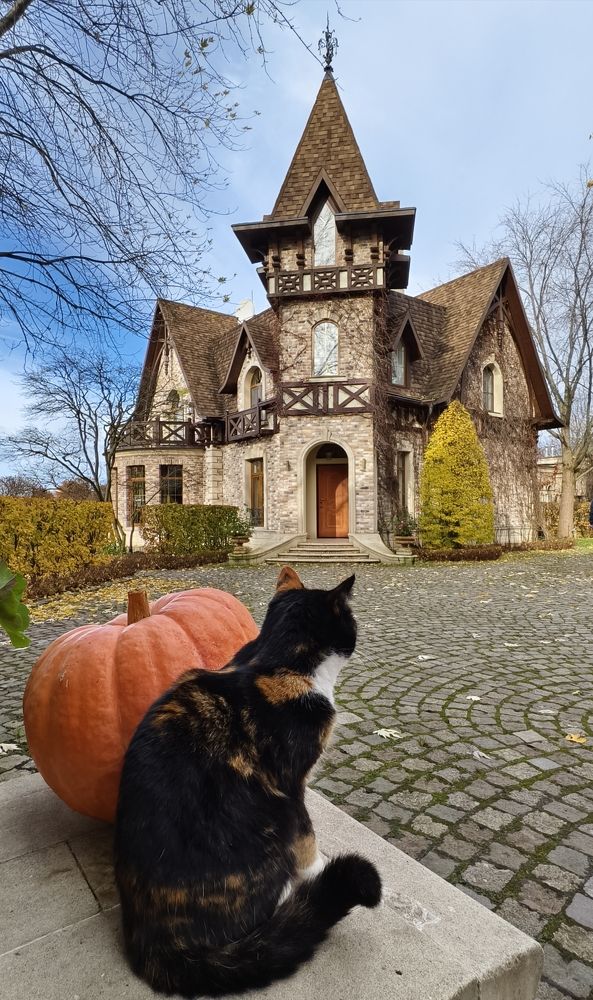 Фотография автора Светлана Зимина