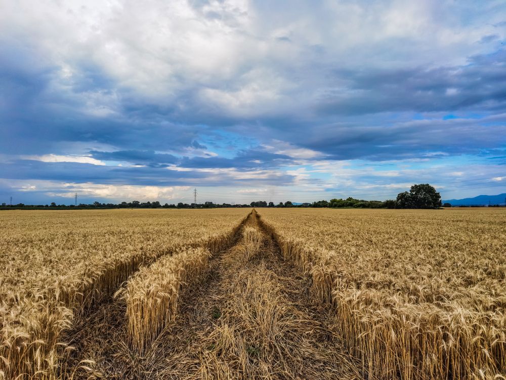 Photograph by Nikolay Draganov