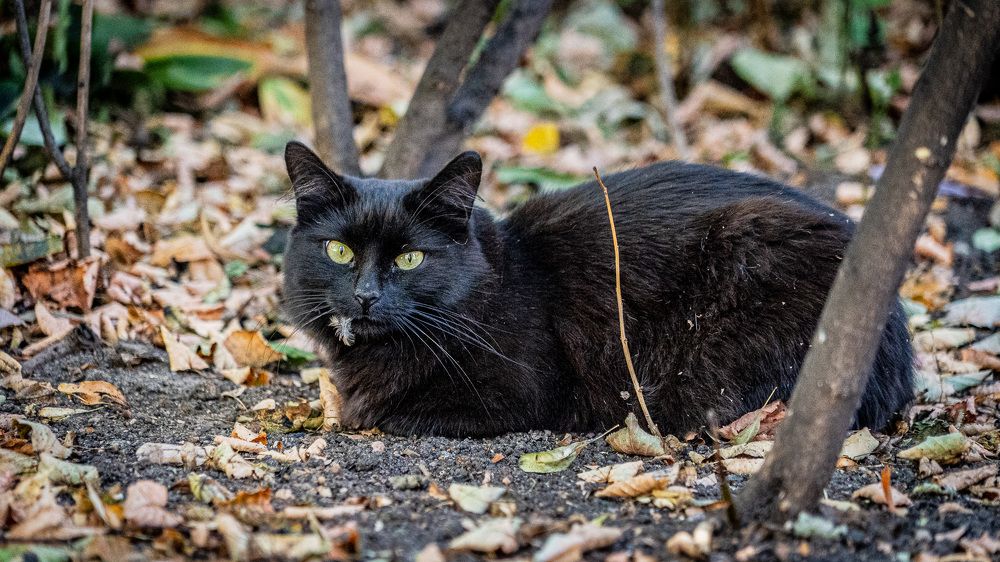 Photograph by Юрий Горбачев