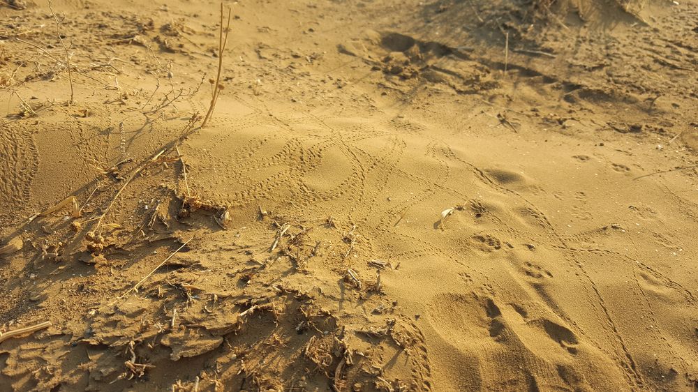 Photograph by Дудников Александр