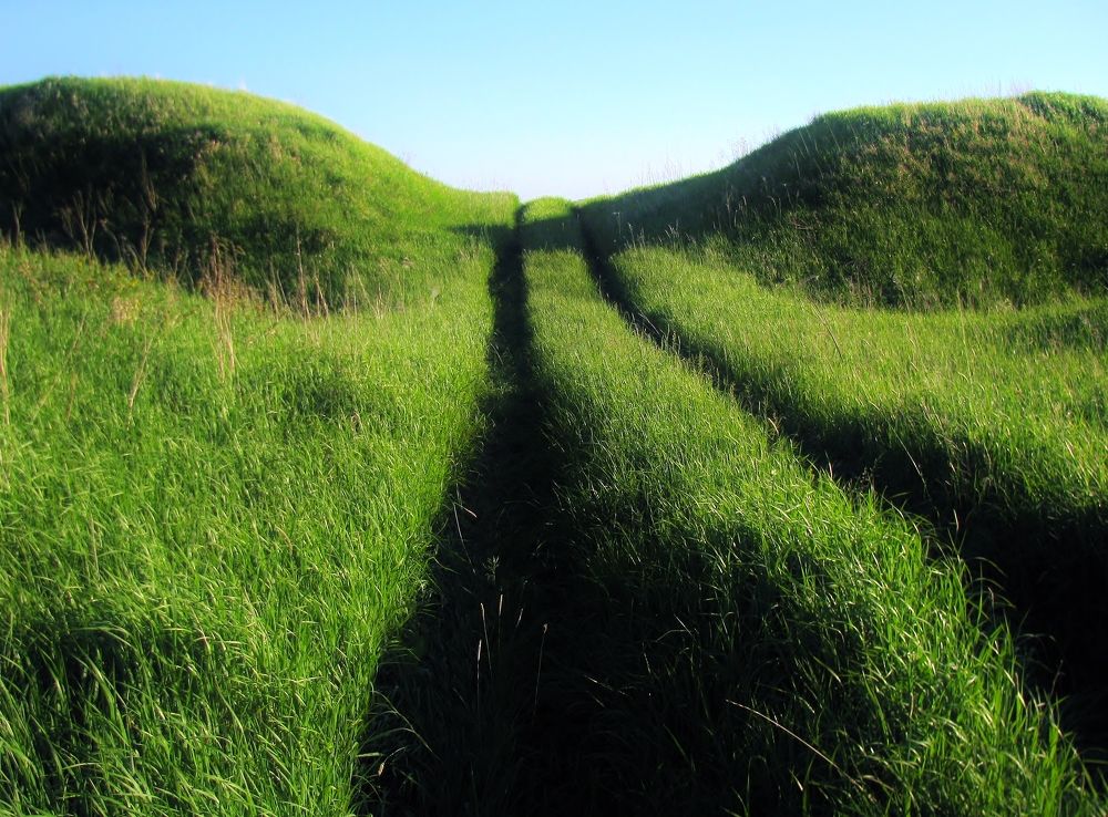 Photograph by Виктор Карпухин