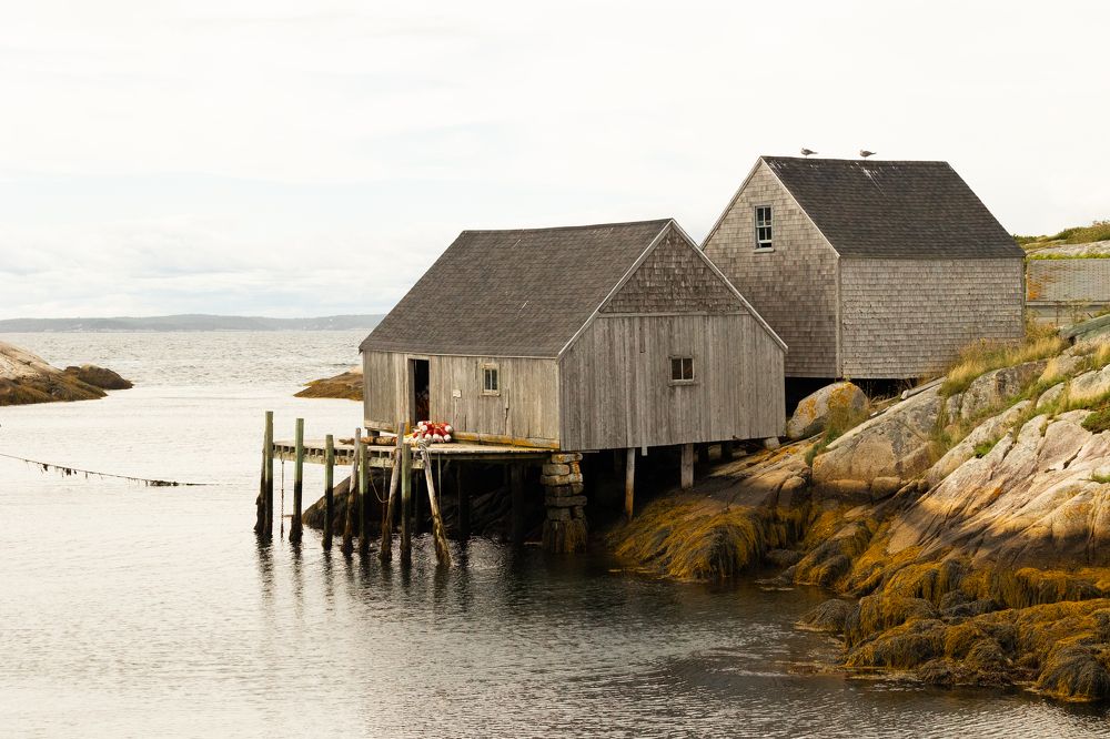 Photograph by Карина Онисенко