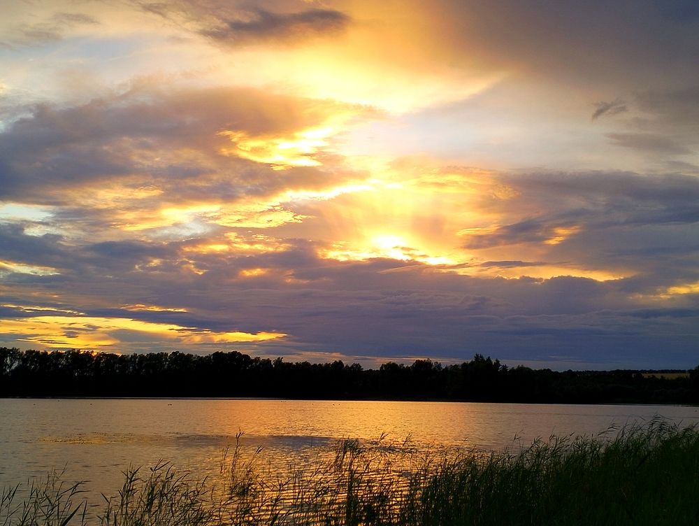 Photo #11282444