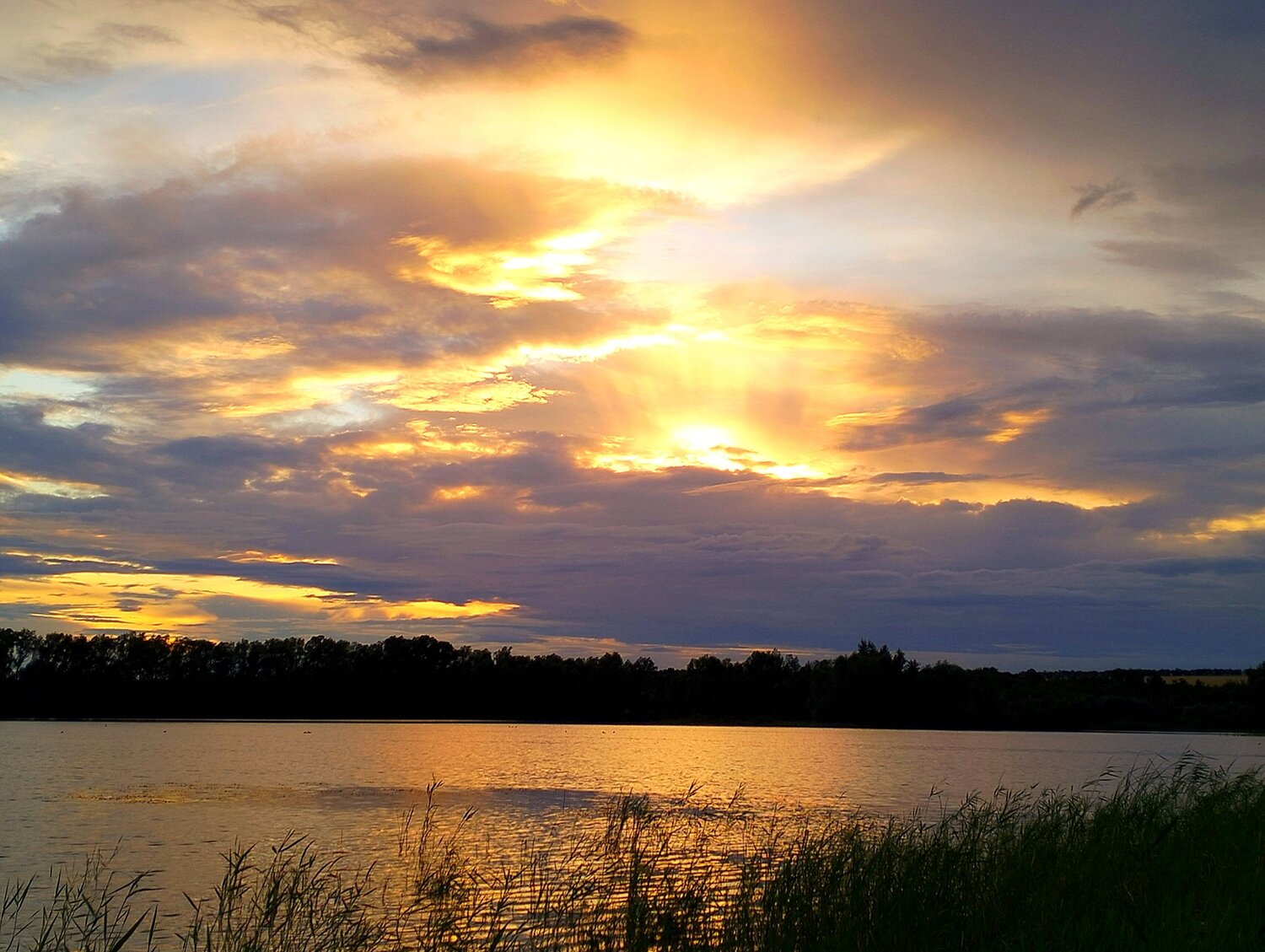 Photo #11282444