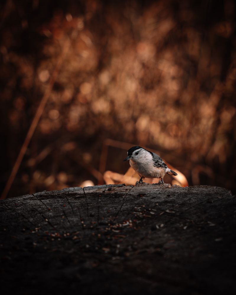 Photograph by Иван Котлобай