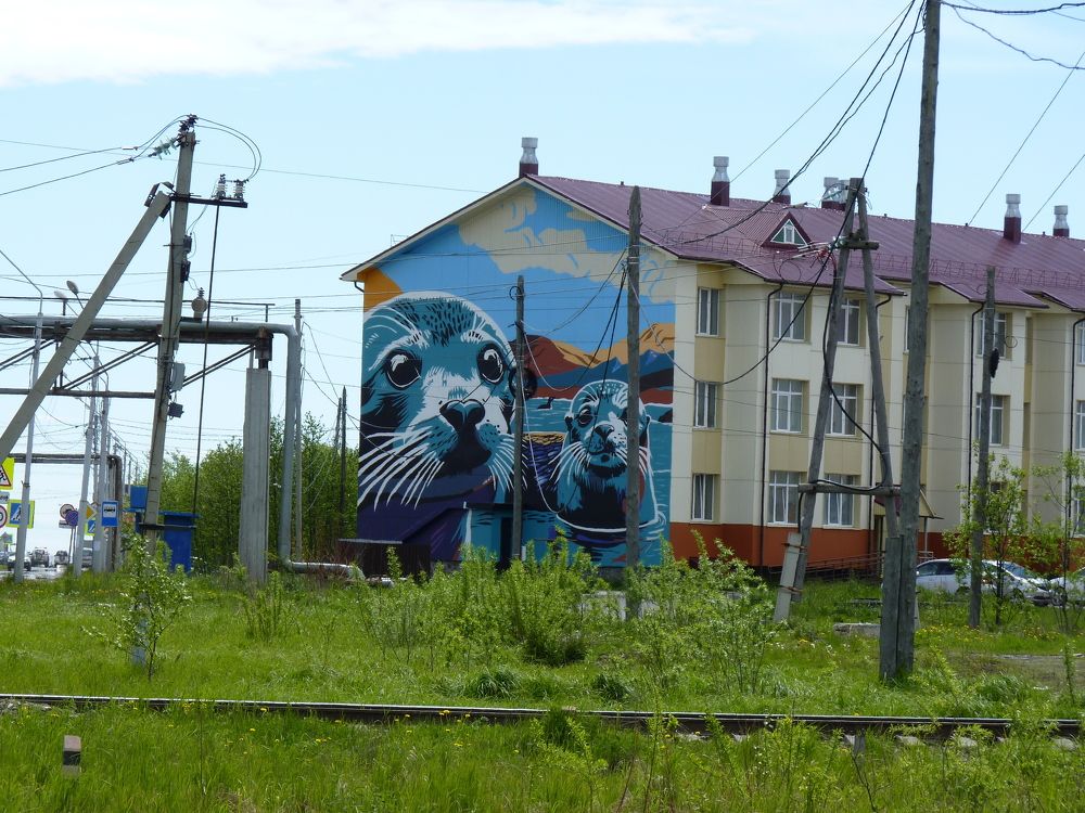 Photograph by Светлана Сычева