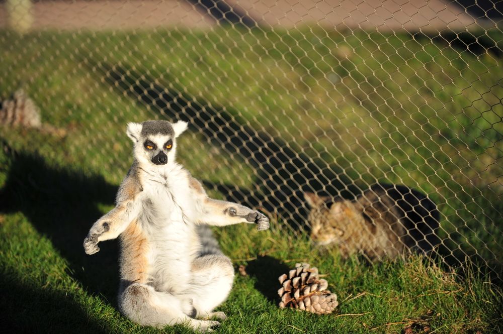 Photograph by Zemnuhov Sergey