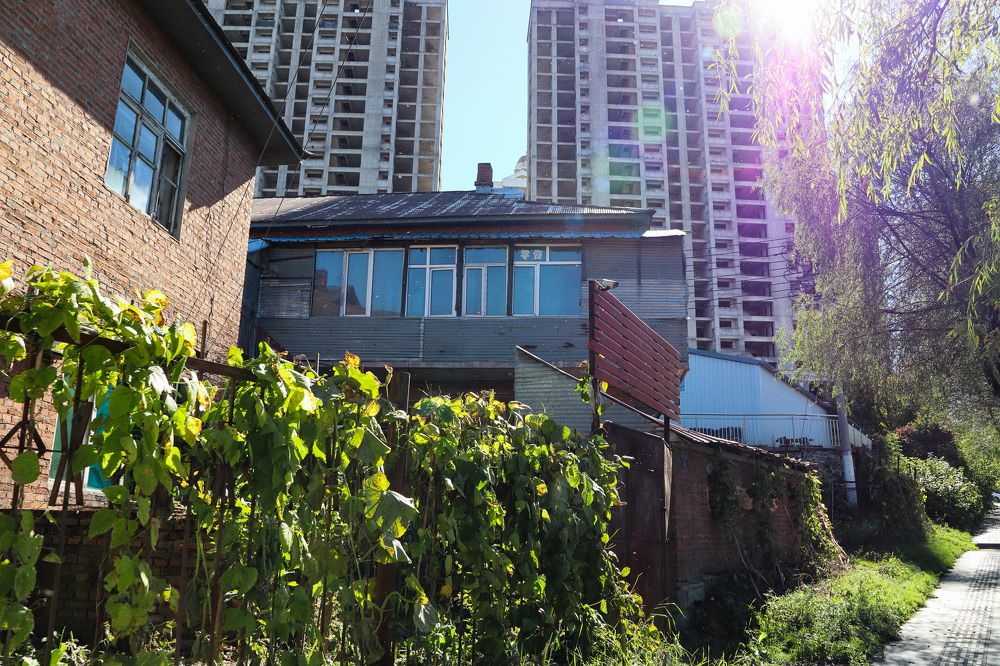 Photograph by Коротков Евгений