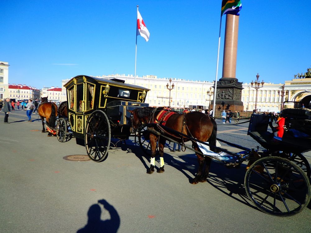 Photo #11282614