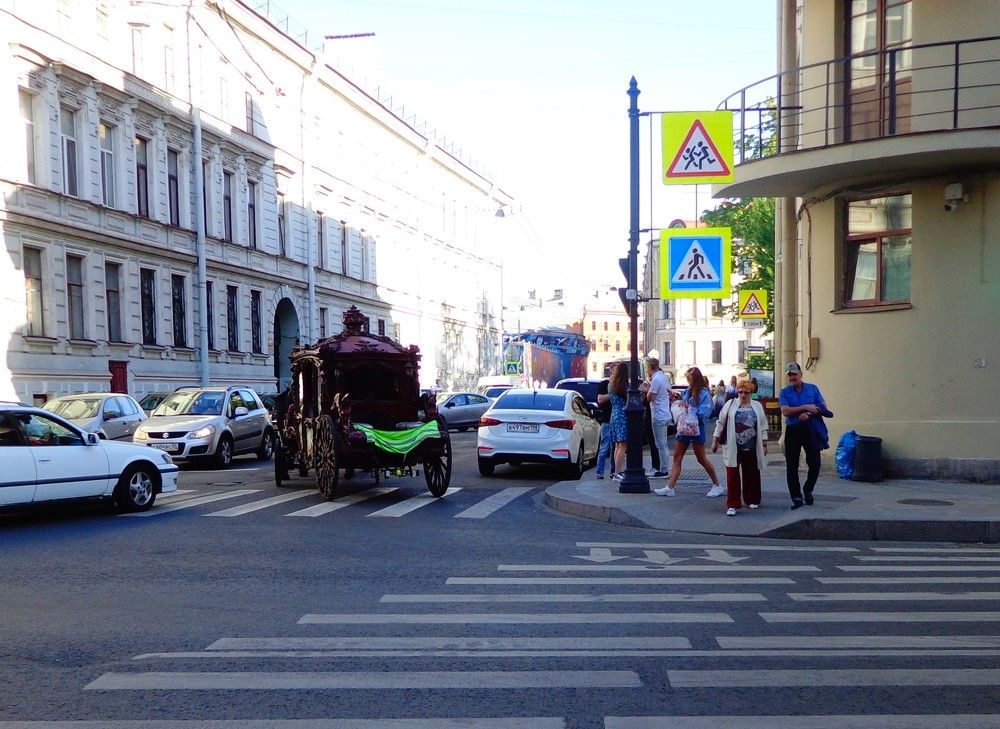 Photo #11282616