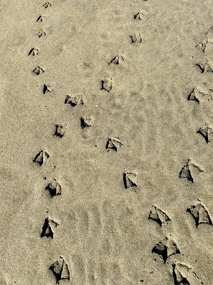 Photograph by Наталия Курищева