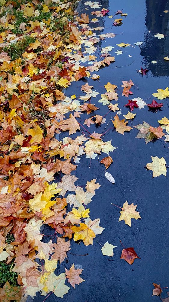 Photograph by Наталья Ситова