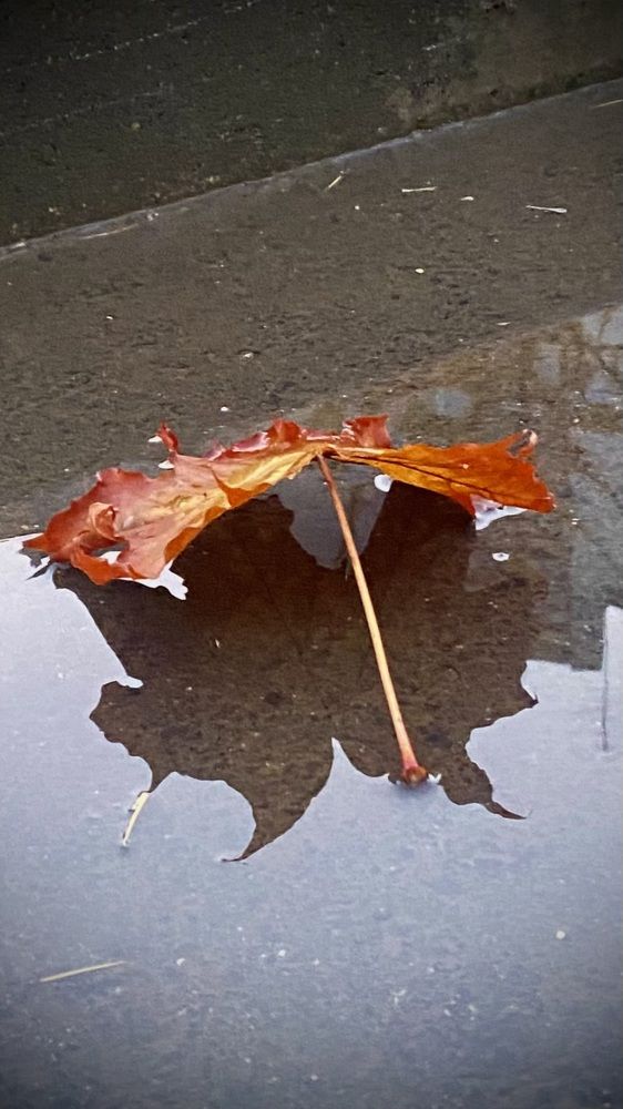 Photograph by Наталья Ситова