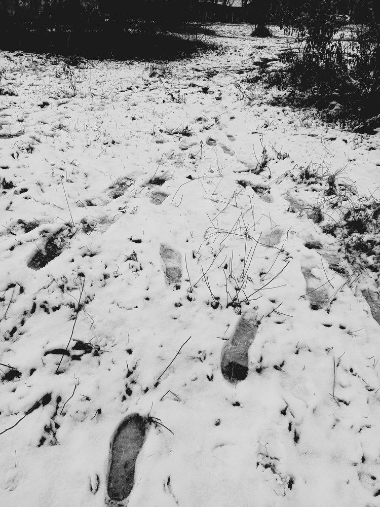 Photograph by Екатерина Хозяшева