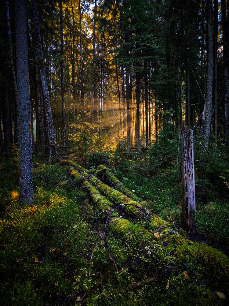 Photograph by Вадим Данилов