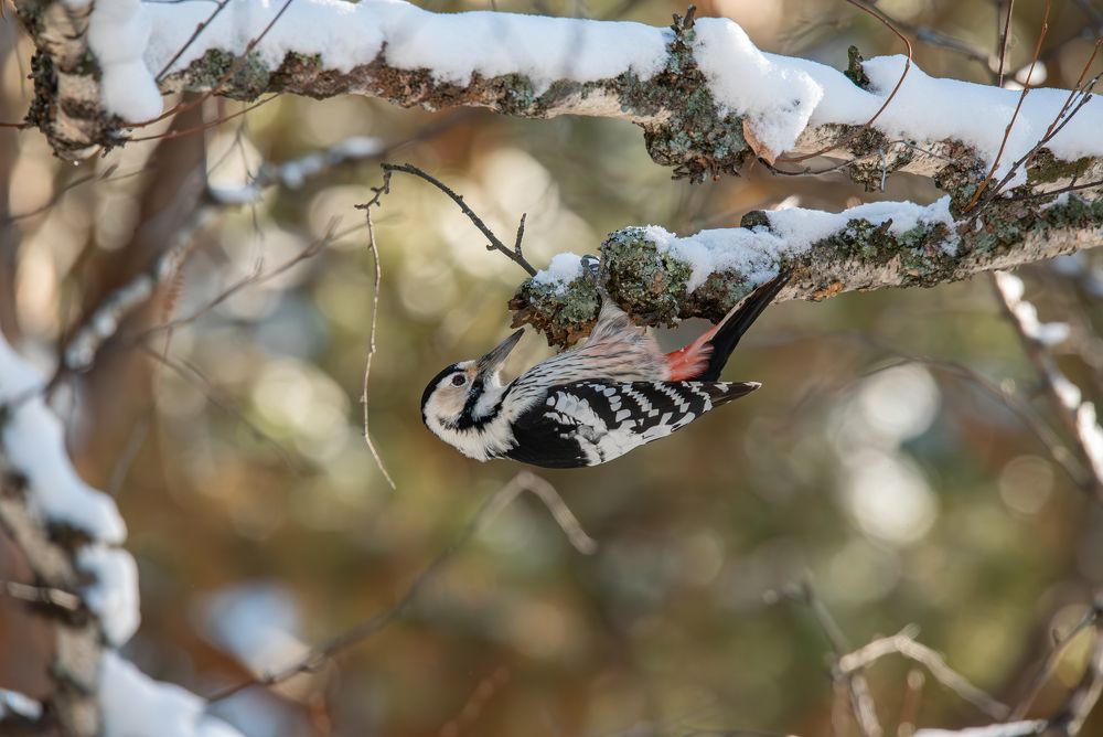 Photograph by Альварис Сукманюк