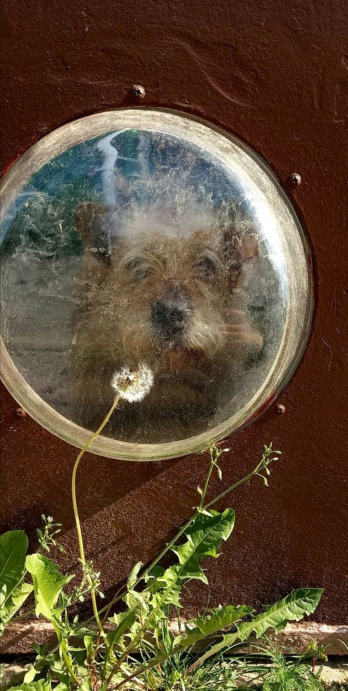 Фотография автора Марина Новикова