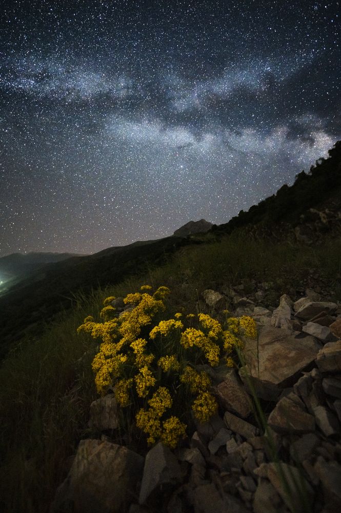 Photograph by rawezh