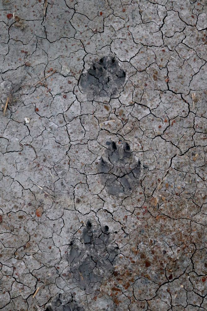 Photograph by Елена Квинт