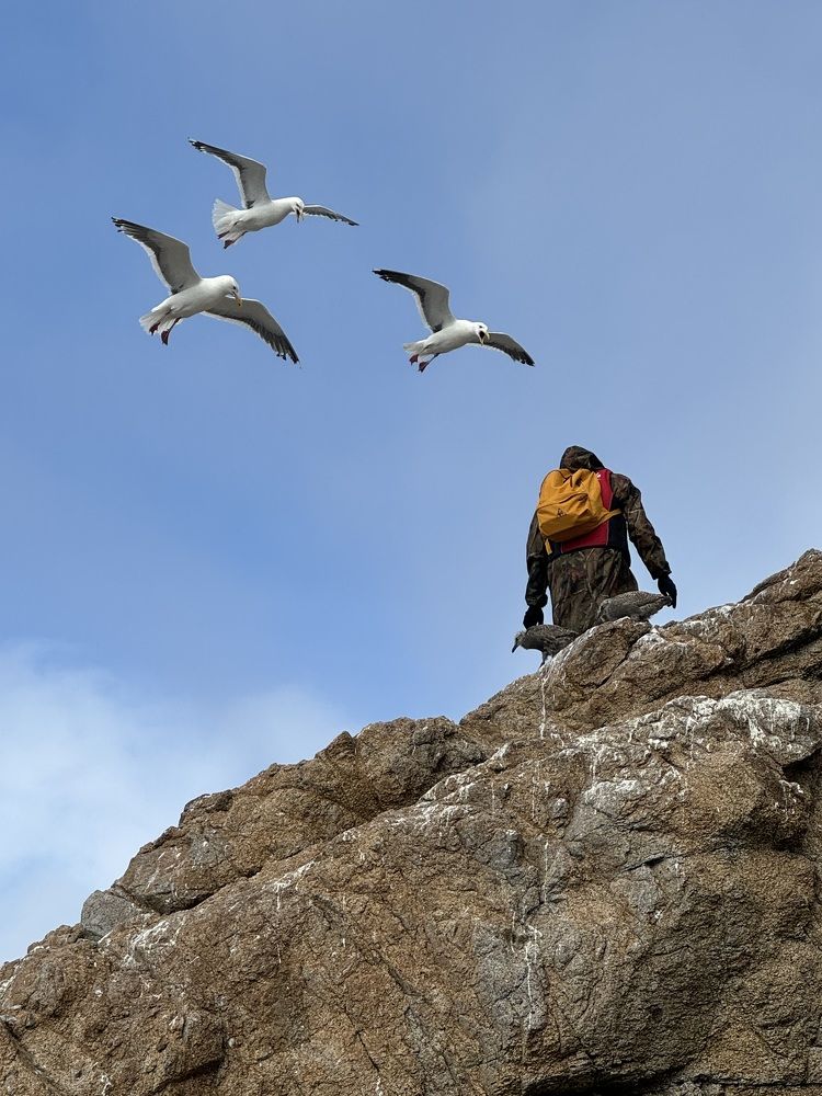 Photograph by Елена Квинт