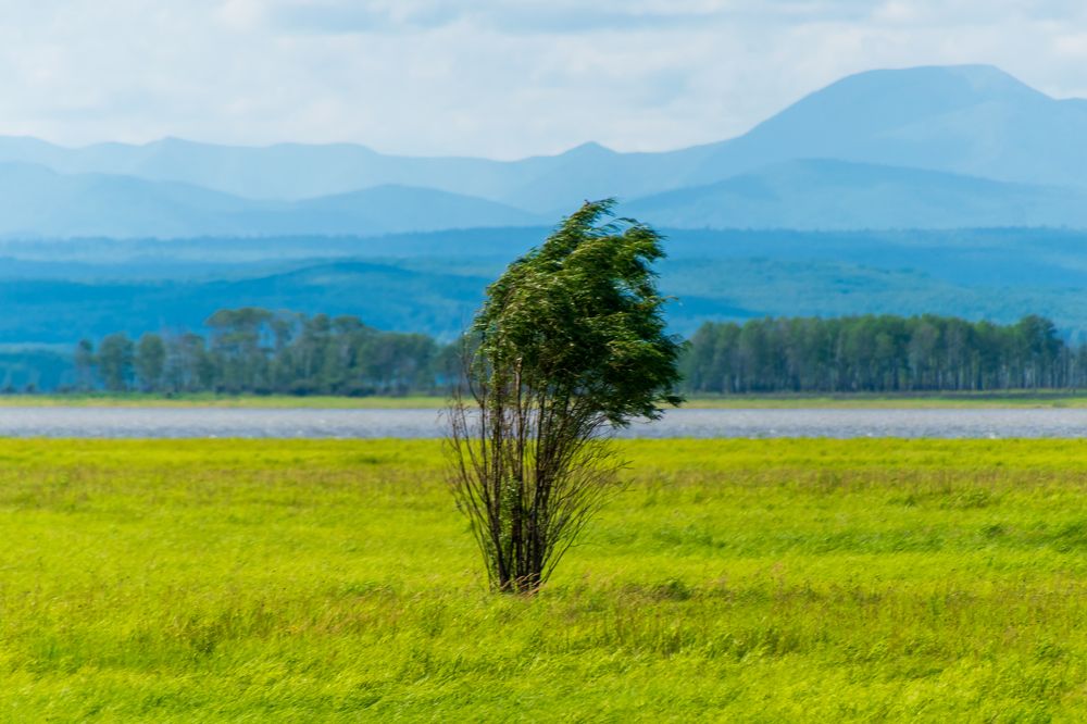 Photograph by Irina Luidinshina