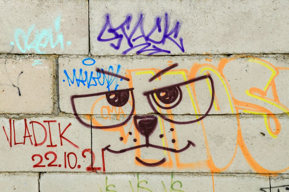 Photograph by Igors Rostikovs