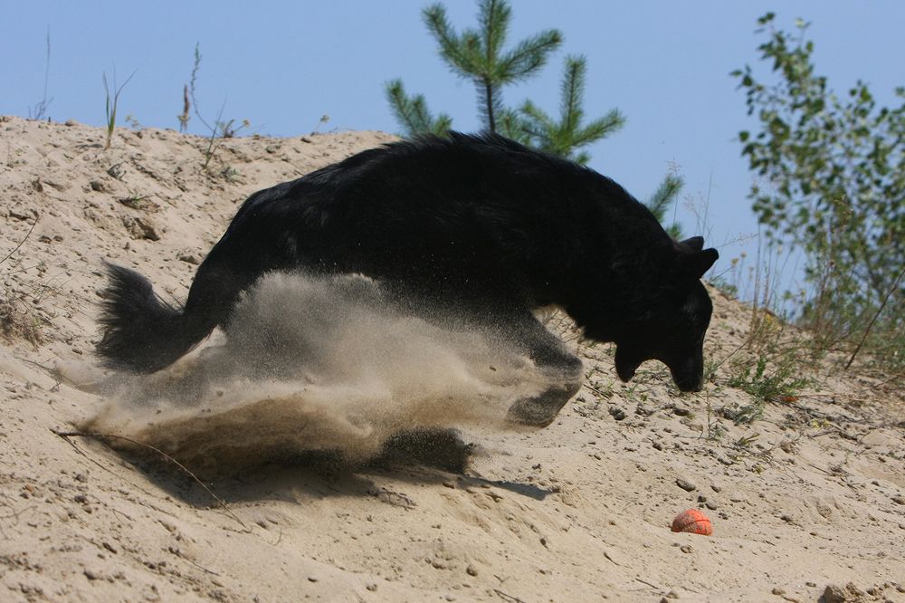Фотография автора Надежда Лисицына