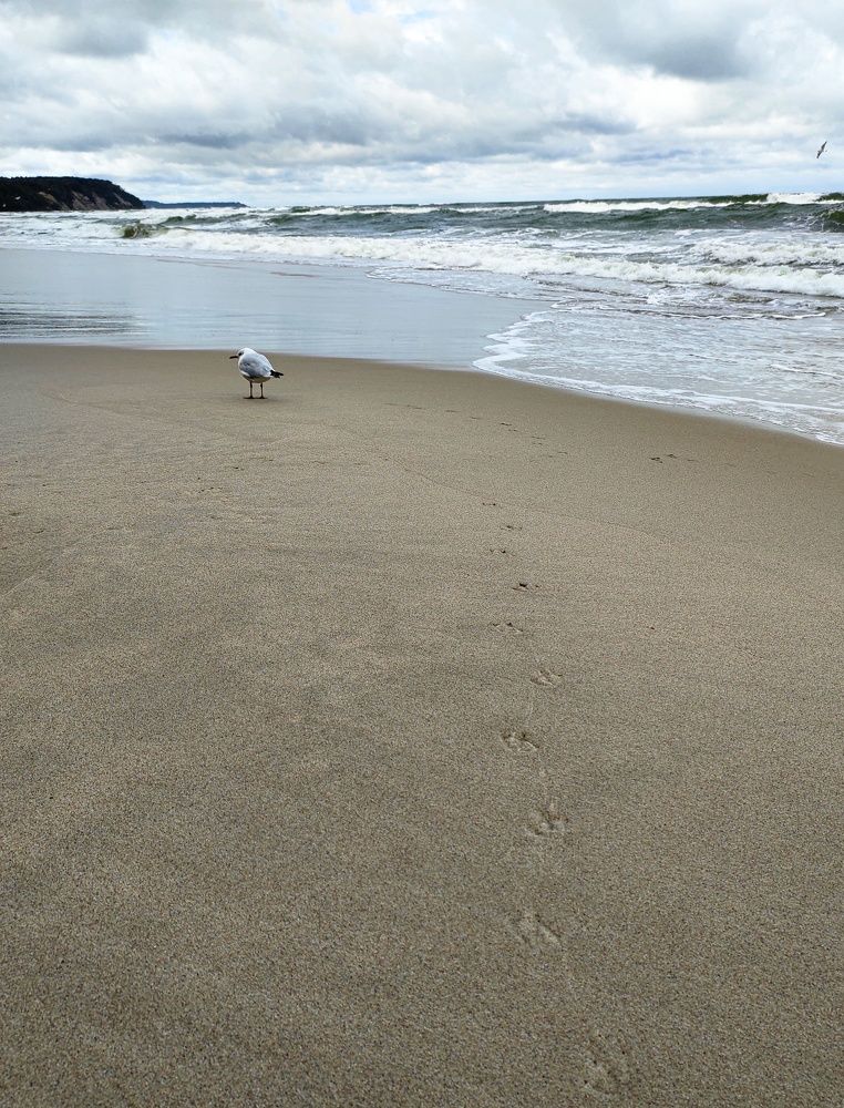 Photograph by Альфия